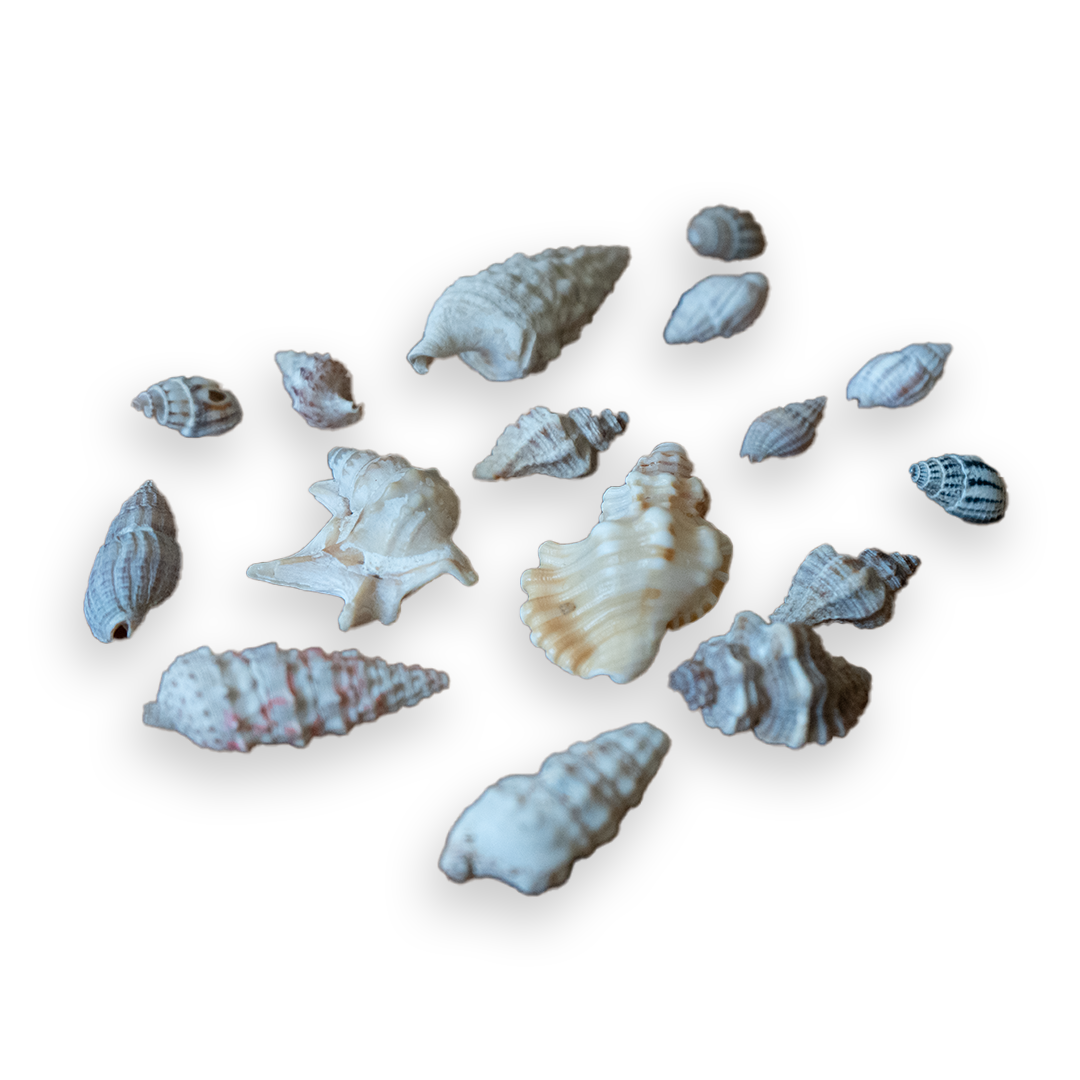 Búzios